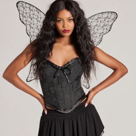 Cosplay Fantasy Sheer Lace Wings - Picture 1 of 5